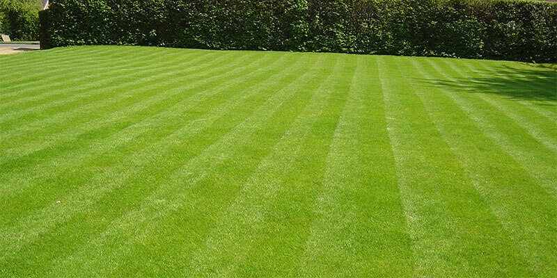 Full Service Lawn Care Maintenance Company