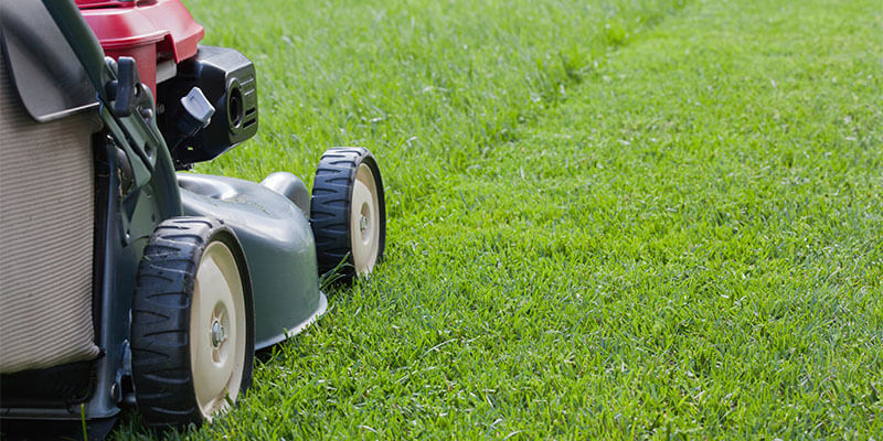 Lawn Care Mowing Tip