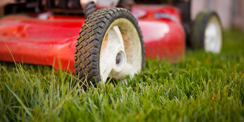 Mowing is Best When Your Lawn is Dry