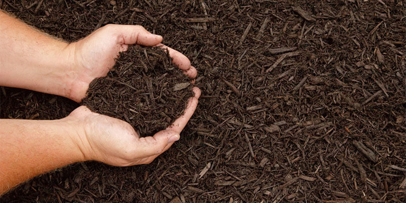 Top 3 Reasons to Mulch your Lawn