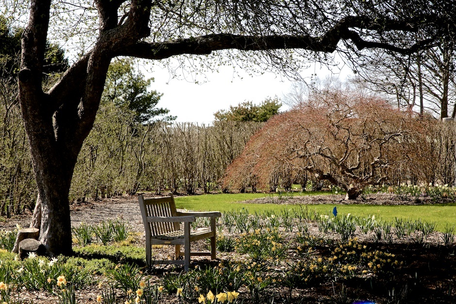 A local’s guide to Bridgehampton, NY