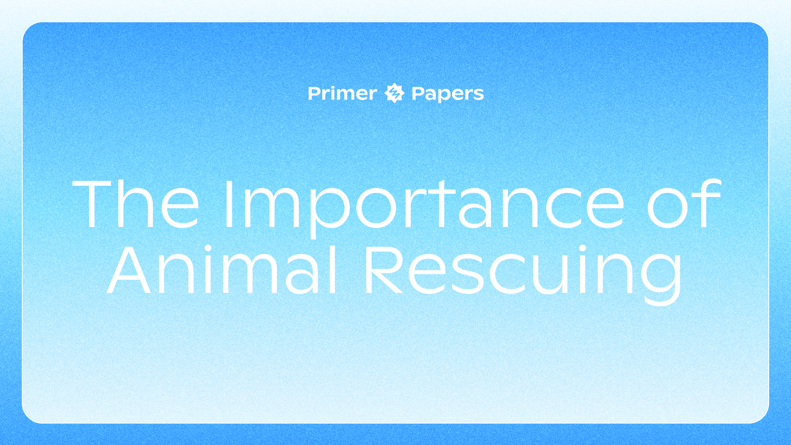 Primer Blog The Importance of Animal Rescuing by Eva