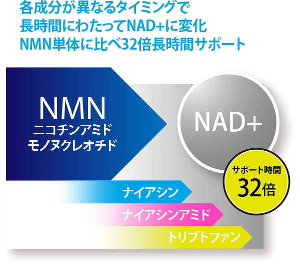各成分が異なるタイミングで長時間にわたってNAD+¥に変化。NMN単体に比べ32倍長時間サポート