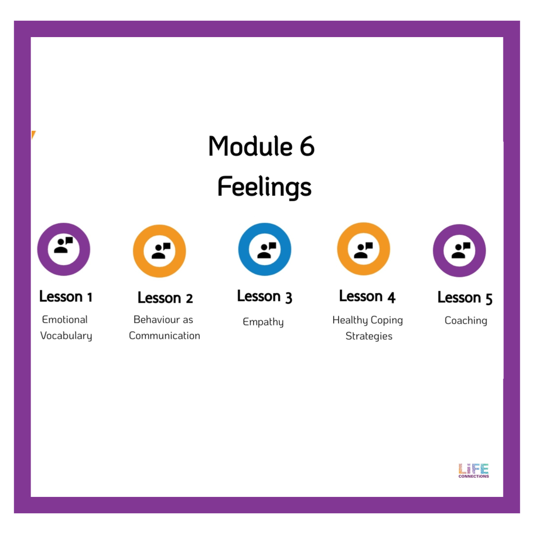 Description of module 6 about Feelings in the Life Connections RSE e-learning resource for parents and guardians of 10 to 12 year old children in Ireland