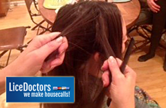 There are so many lice companies on Long Island, what makes LiceDoctors special?