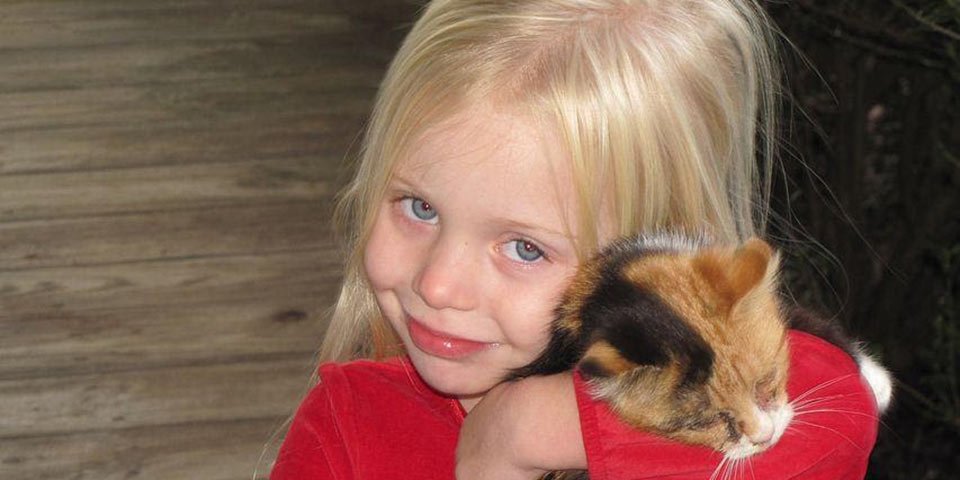 denton pets dog cat puppy kitten kitty cannot get human lice transmit carry