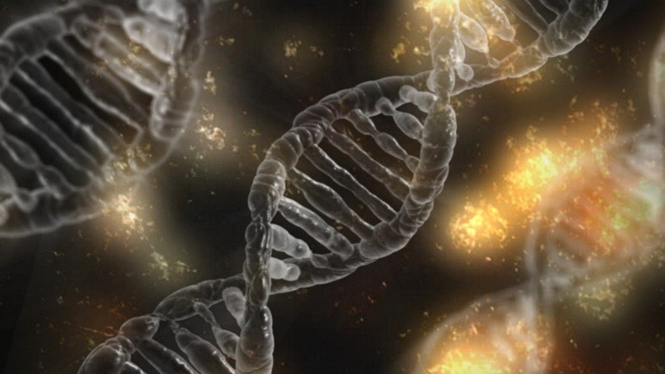 soft focus double helix DNA on dark sparkley background.