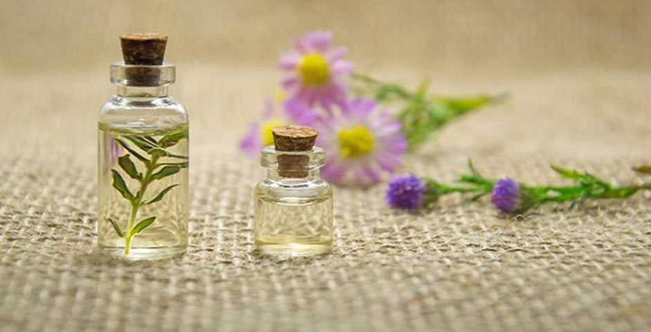 Taylorsville and Kearns lice removal olive oil treatment