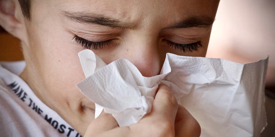 pflugerville jollyville lice contagious treatment removal common nuisance