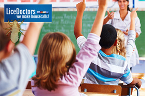 Students raising their hands - LiceDoctors