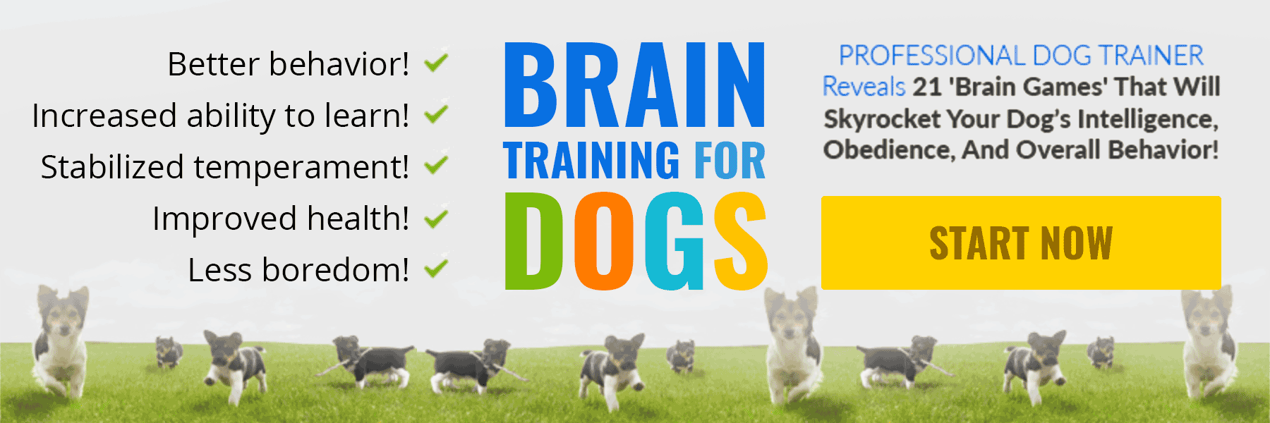 Brain Training For Dogs | Fix your dogs bad behavior | increase your dogs ability to learn | Stabilize your dogs temperament | improve your dogs health | less boredom your dogs | keep your dog mentally stimulated