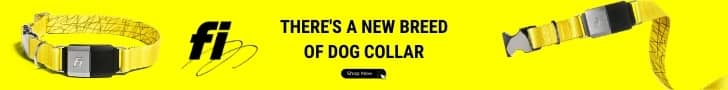 Fi Smart Dog Collar