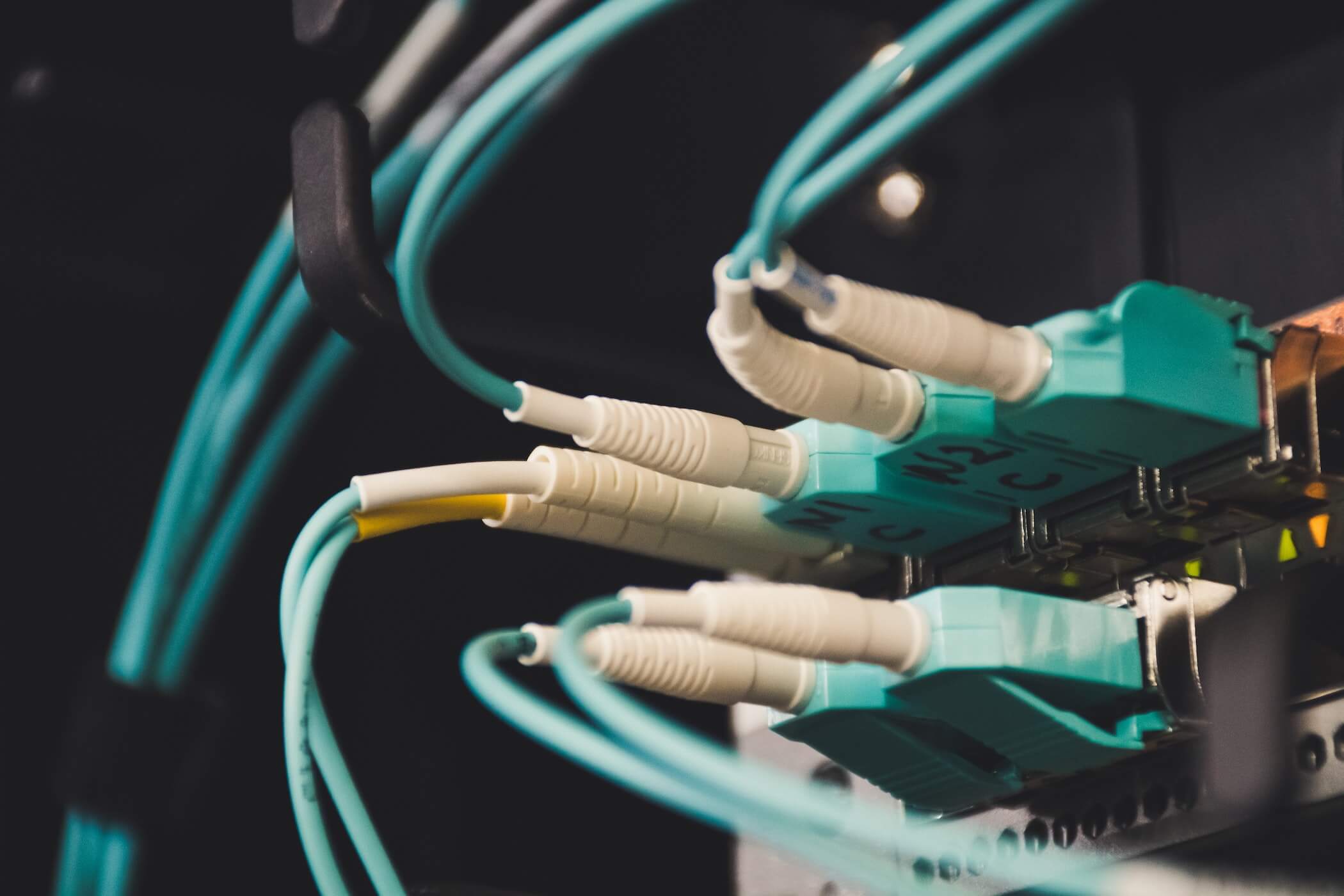 Kabel die an einem Server eingesteckt sind