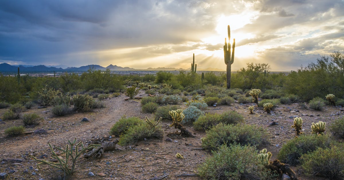 Gateway Loop Trail Scottsdale, AZ