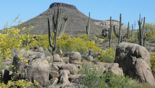 Jane Rau Interpretive Trail Scottsdale, AZ