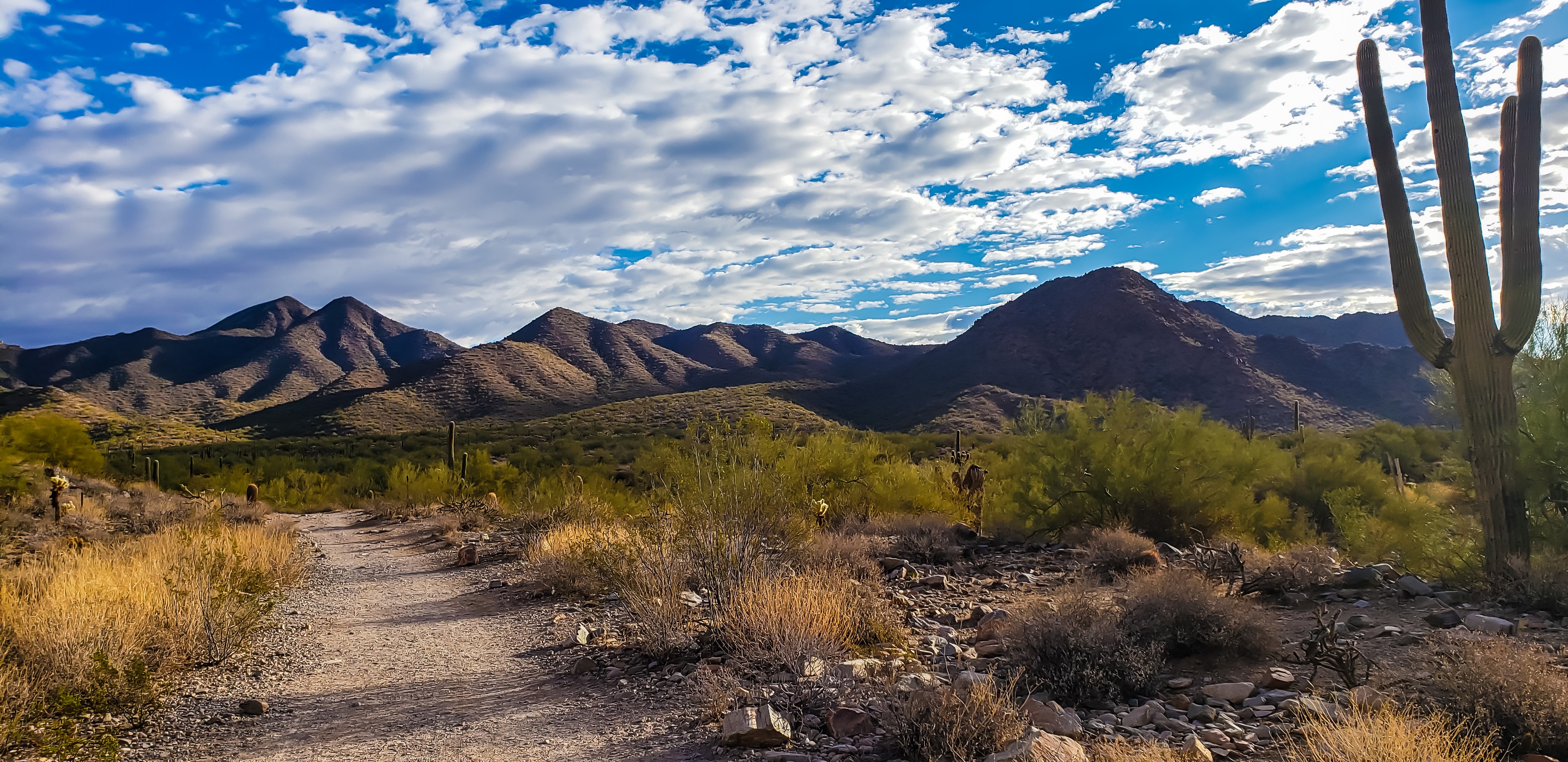 Lost Dog Trail Scottsdale, AZ