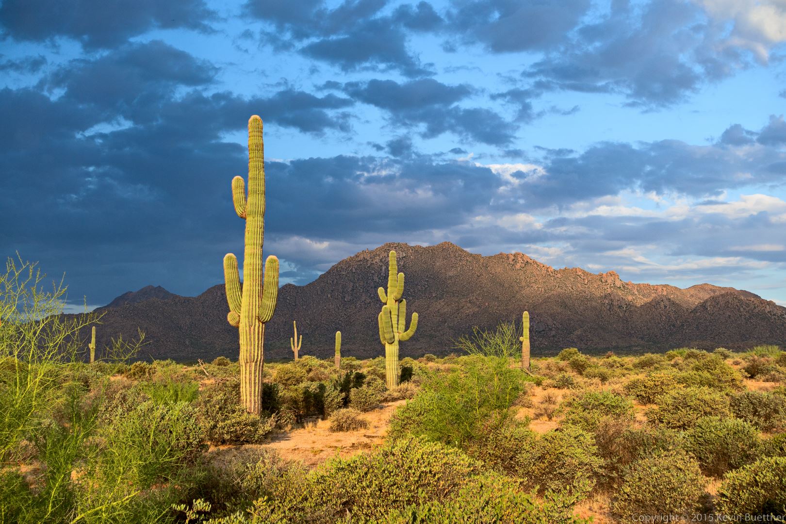 Scenic Trail in McDowell Mountain Scottsdale, AZ