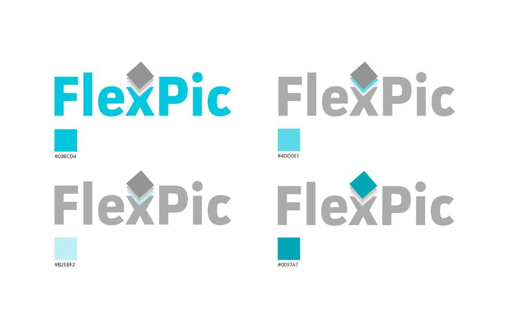 FlexPic App Branding Colors