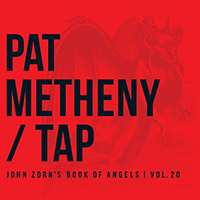 TAP: The Book of Angels, Volume 20 by Pat Metheny (Nonsuch cover)