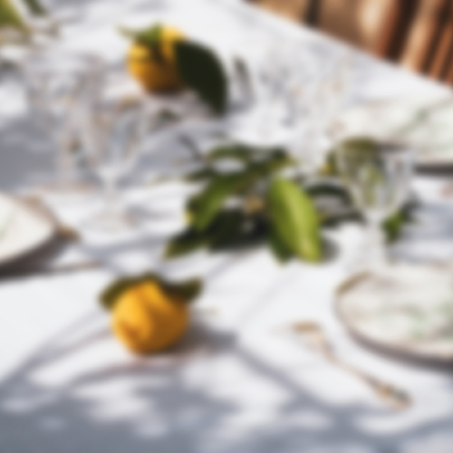 DINE afbeelding 2