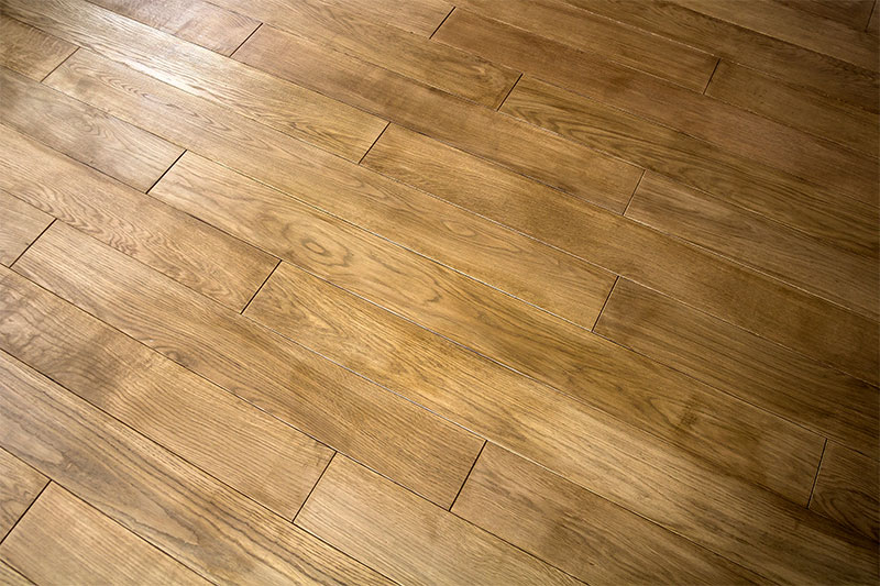 TopRated Affordable Carpet Cleaning Michelangelo Enterprises