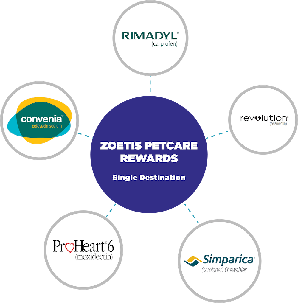 Zoetis Petcare The Dunay UXUI Product Designer