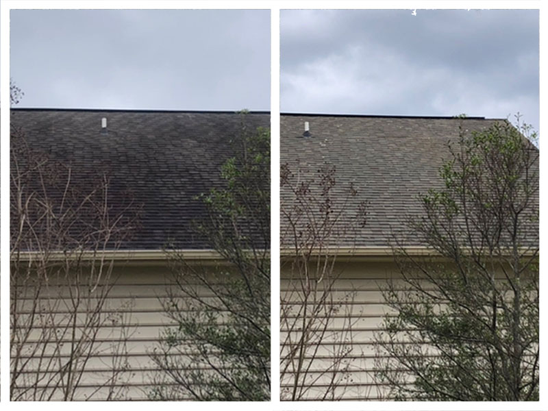 TopRated Pressure Washing in Leesburg, VA House Wash VA