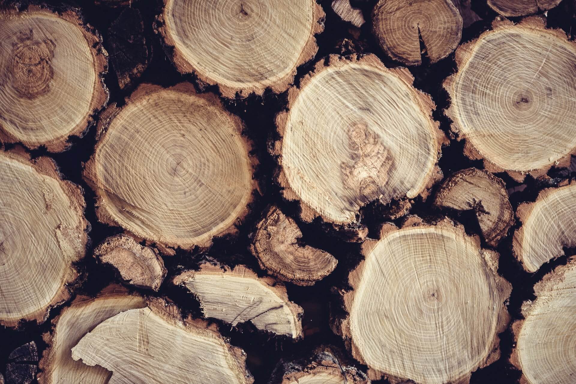 holzstaemme