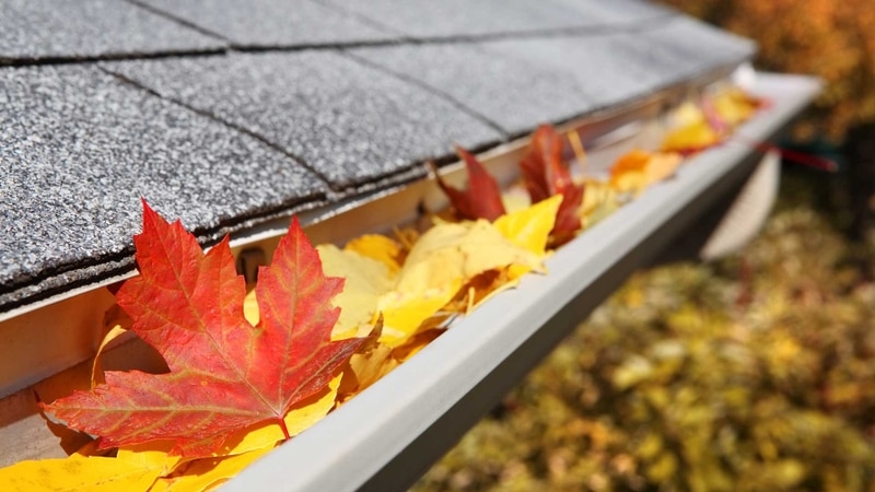 complete home services gutter cleaning