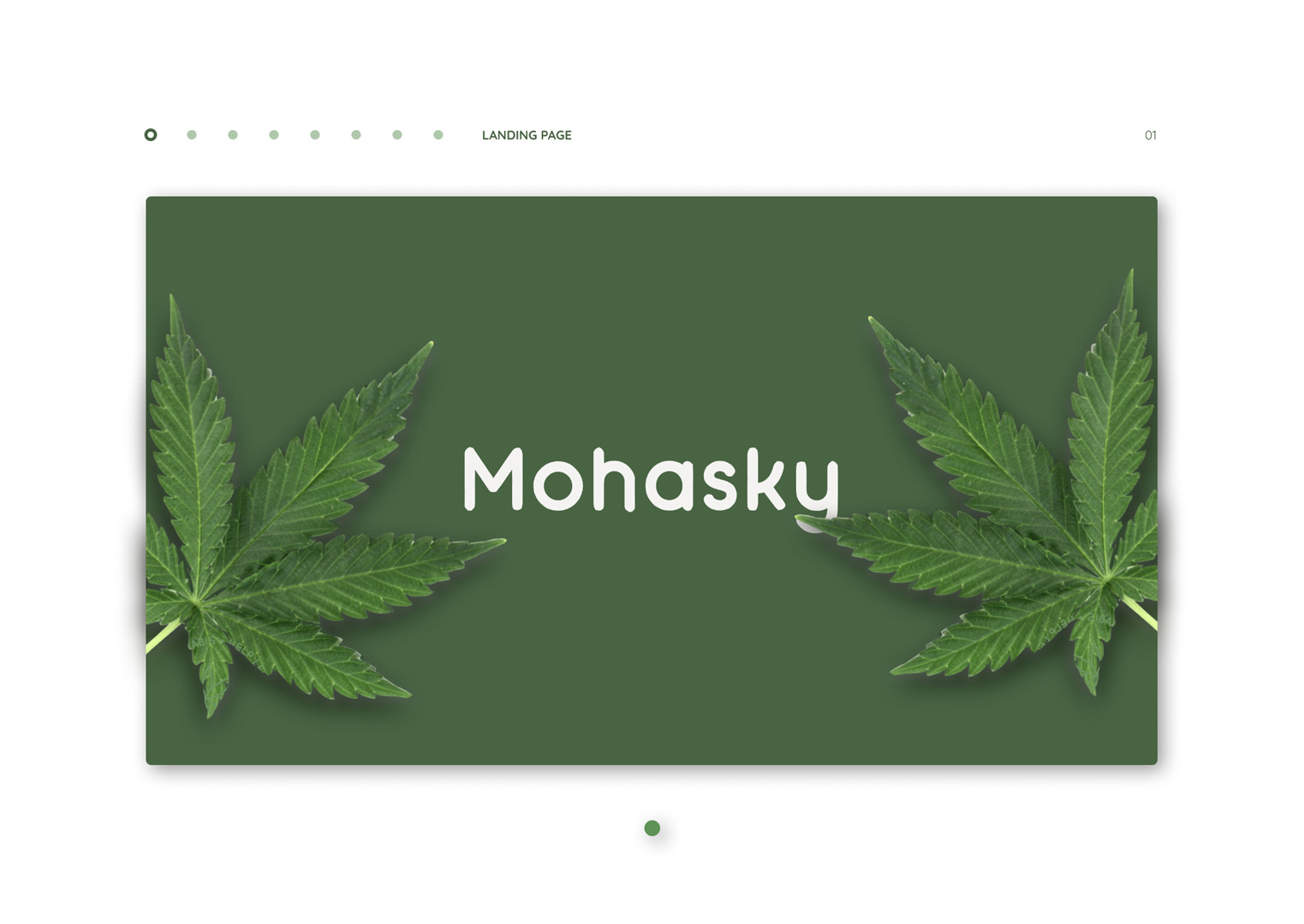 User interface designs for Mohasky website
