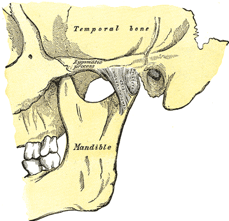 Jaw and Facial Pain