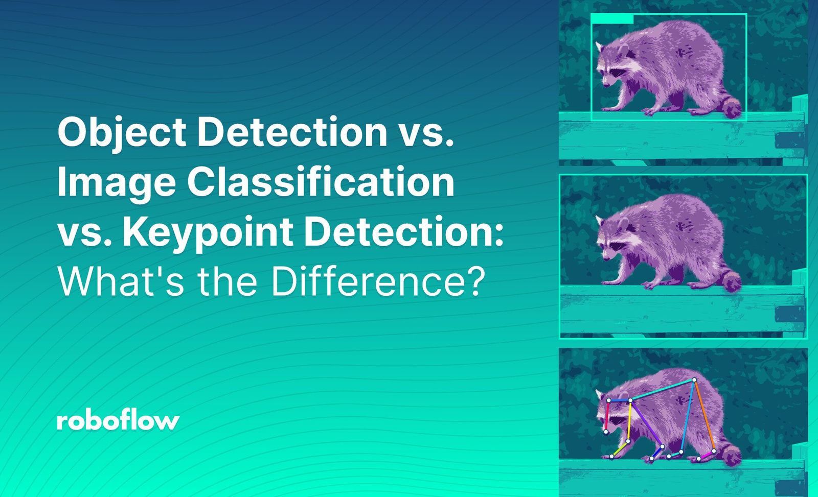 YOLOv8 Classification Classification Model