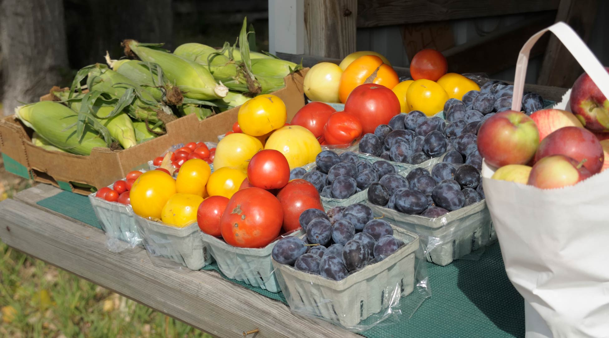 13 Healthy Snacks for Truck Drivers