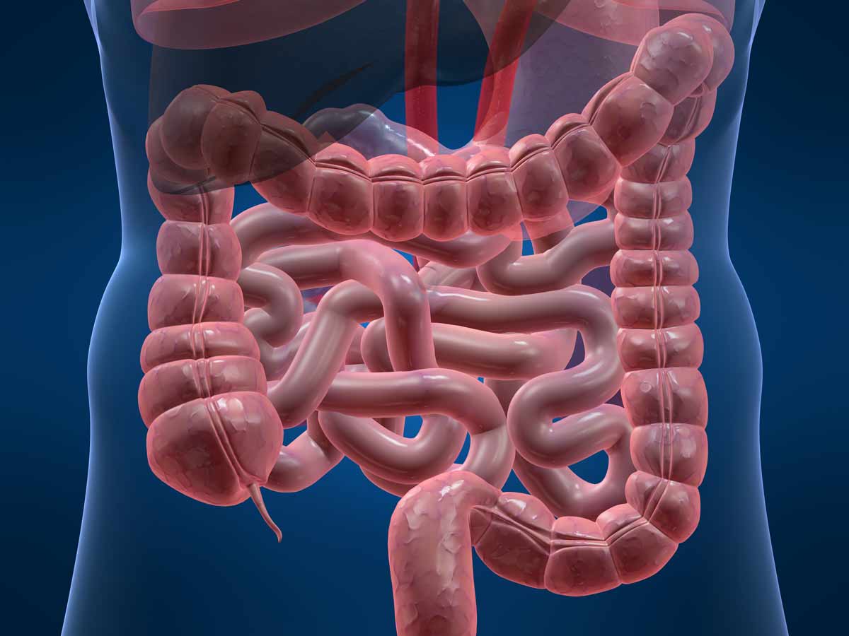gut-skin-axis
