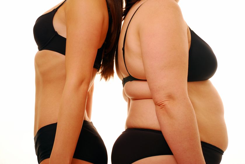 Hormone and Fat Connection