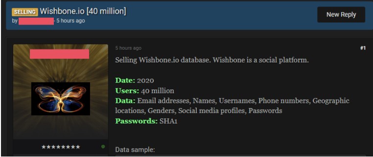 Wishbone App Scam