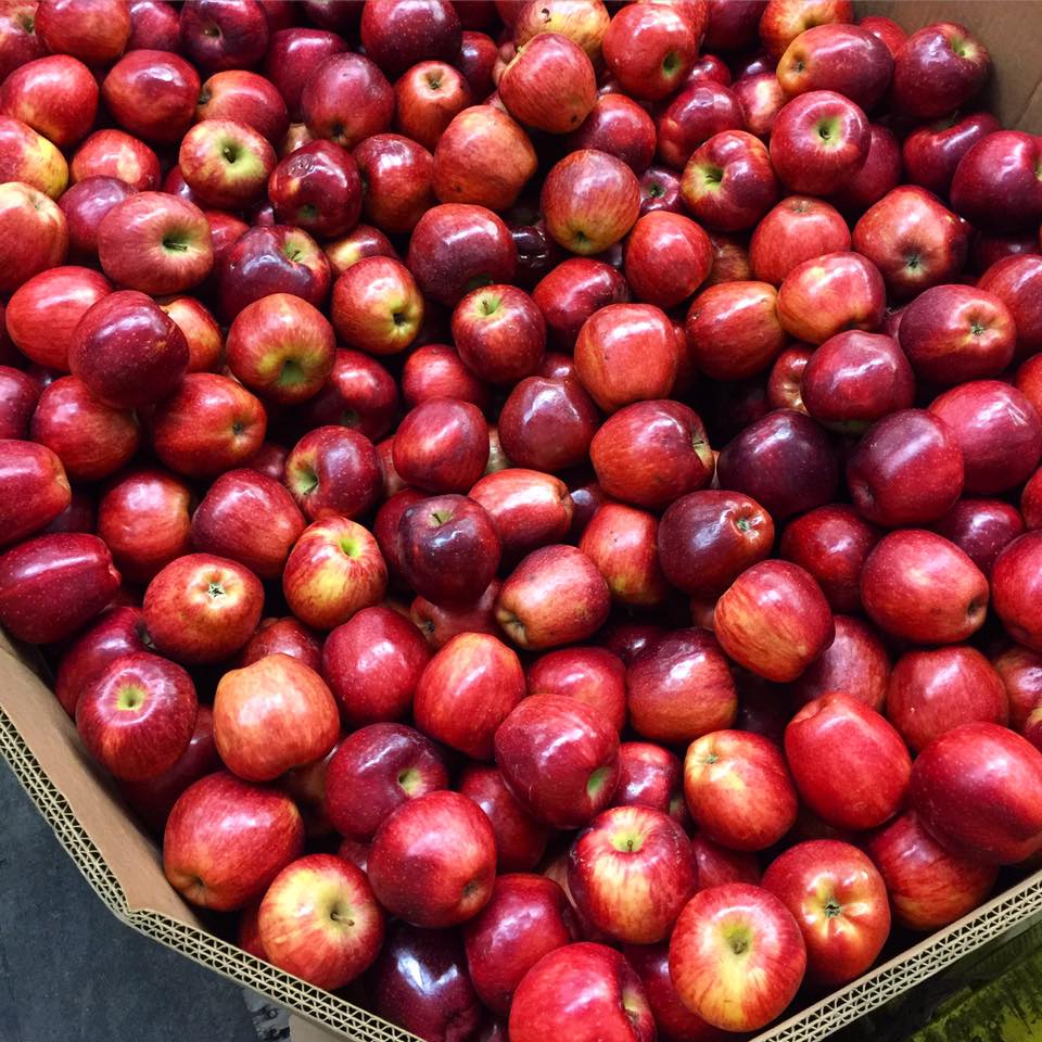 Get Fresh Produce Delivered to Your Door With Hungry Harvest