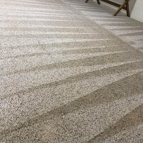 Pressure Washing Montgomery TX House & Roof Cleaning Services