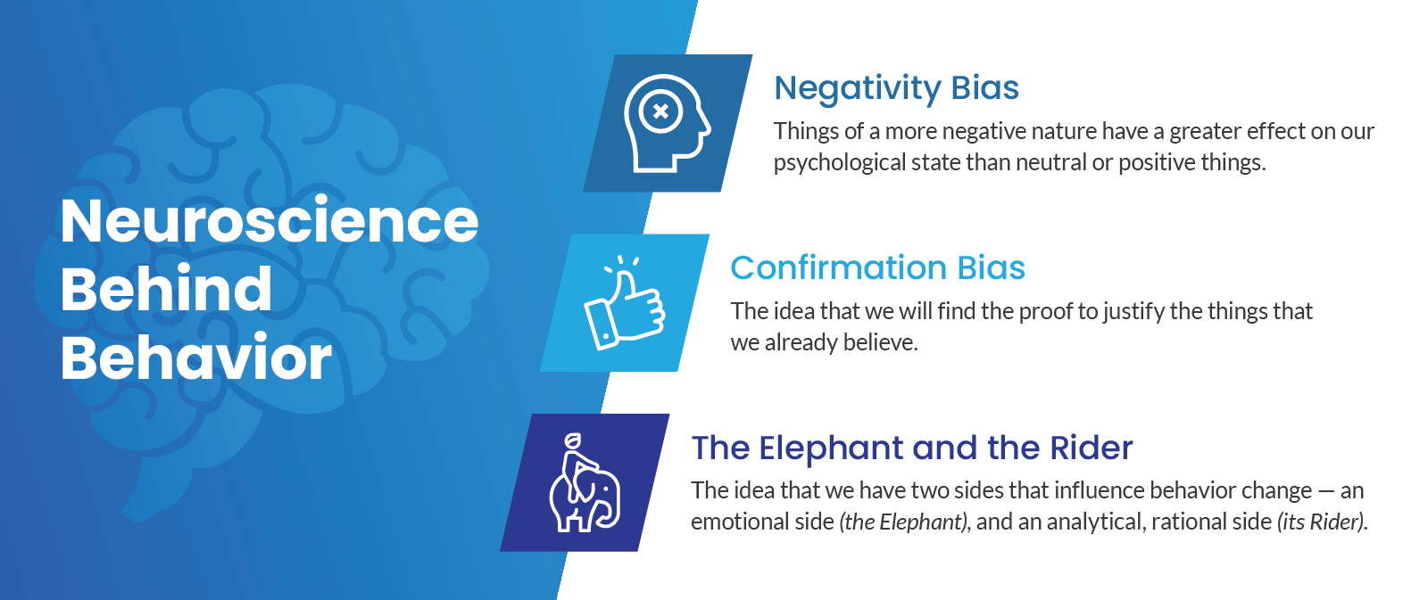 3 cognitive biases
