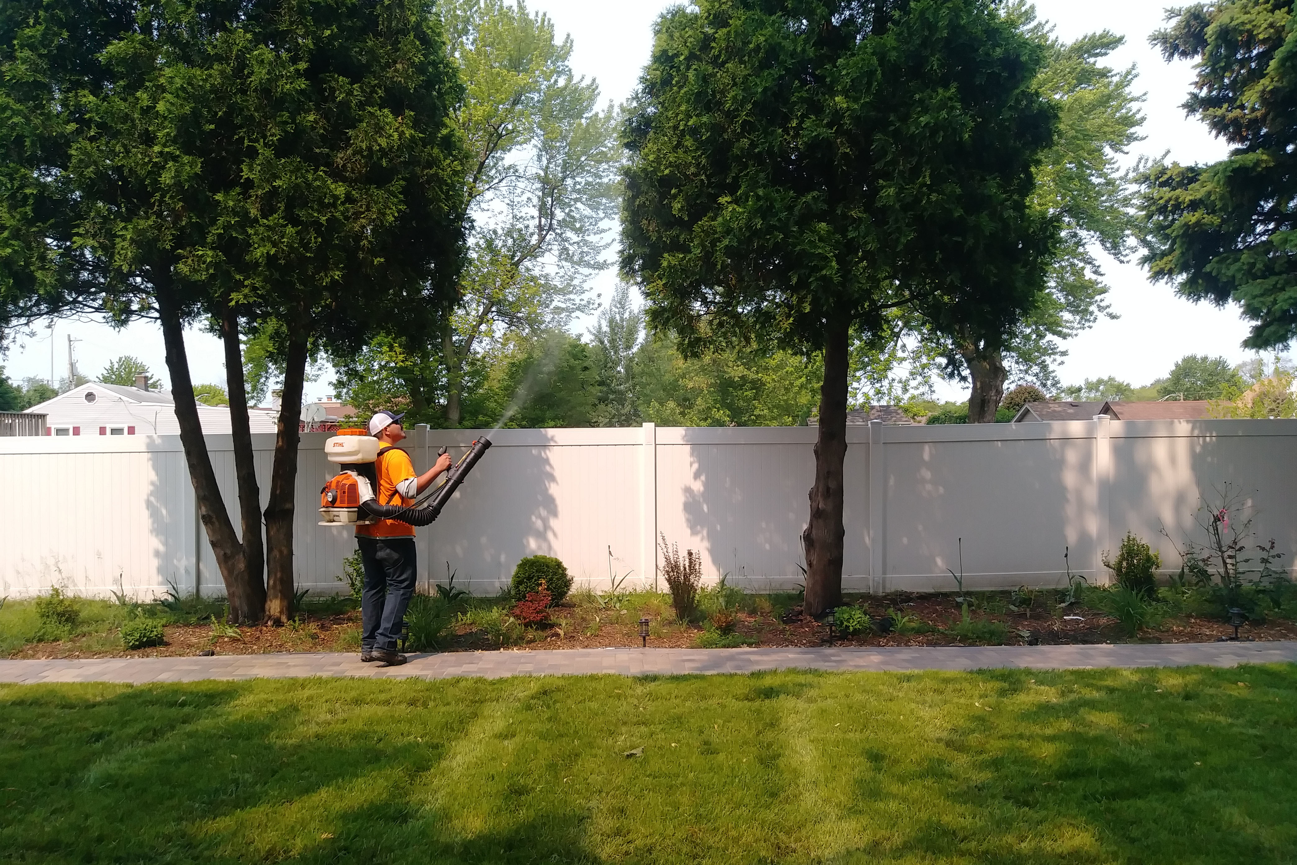 Mosquito control in Chicagoland by Carefree