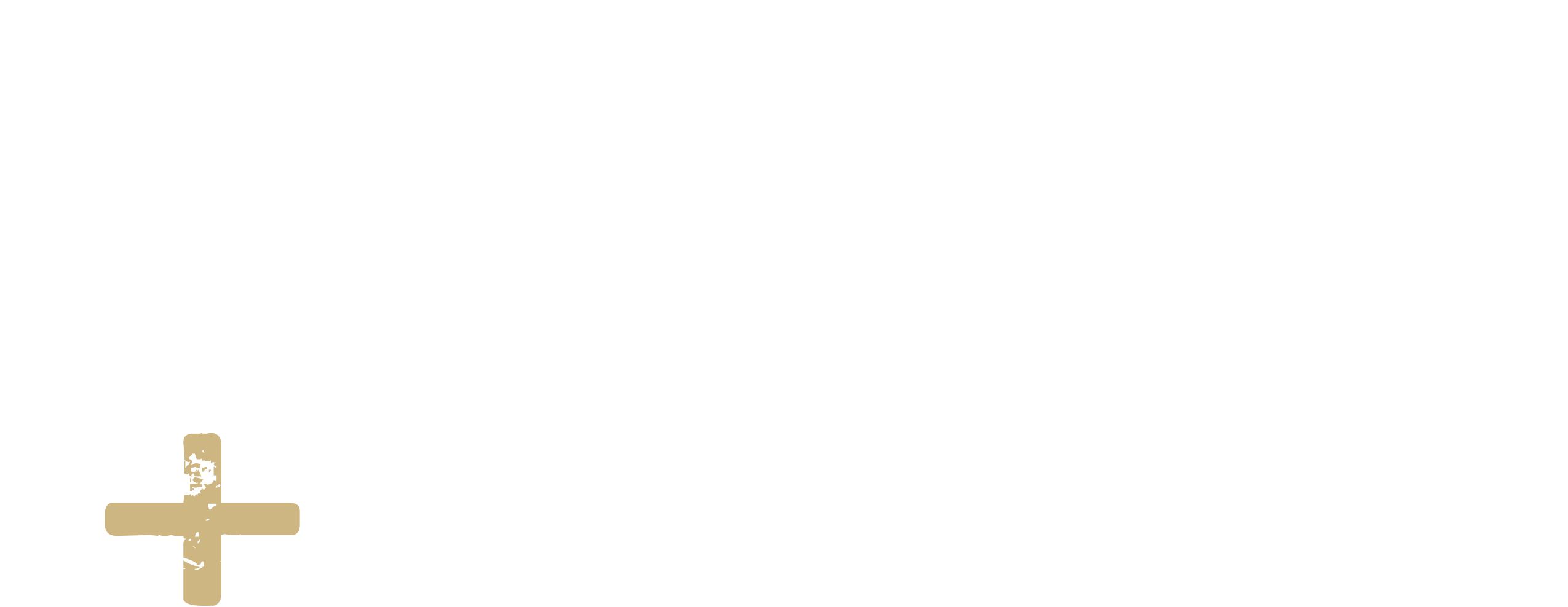 615 Leverage + Strategy stacked logo