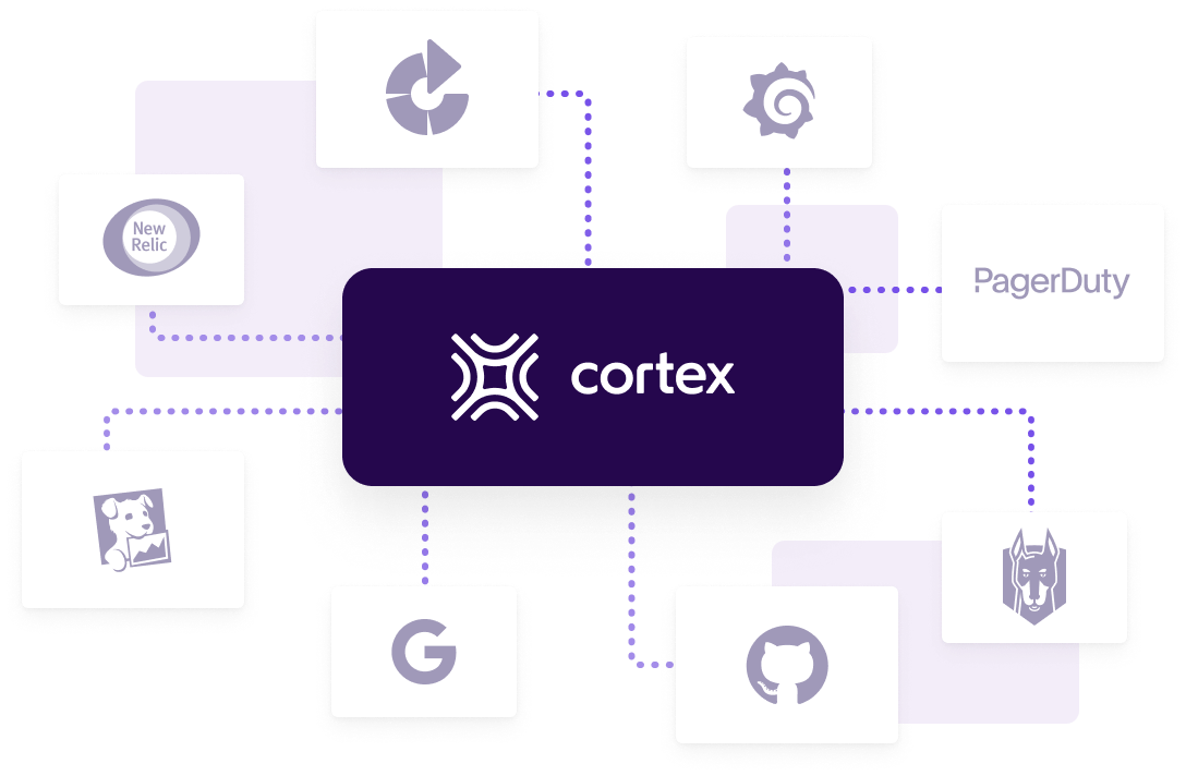 Cortex