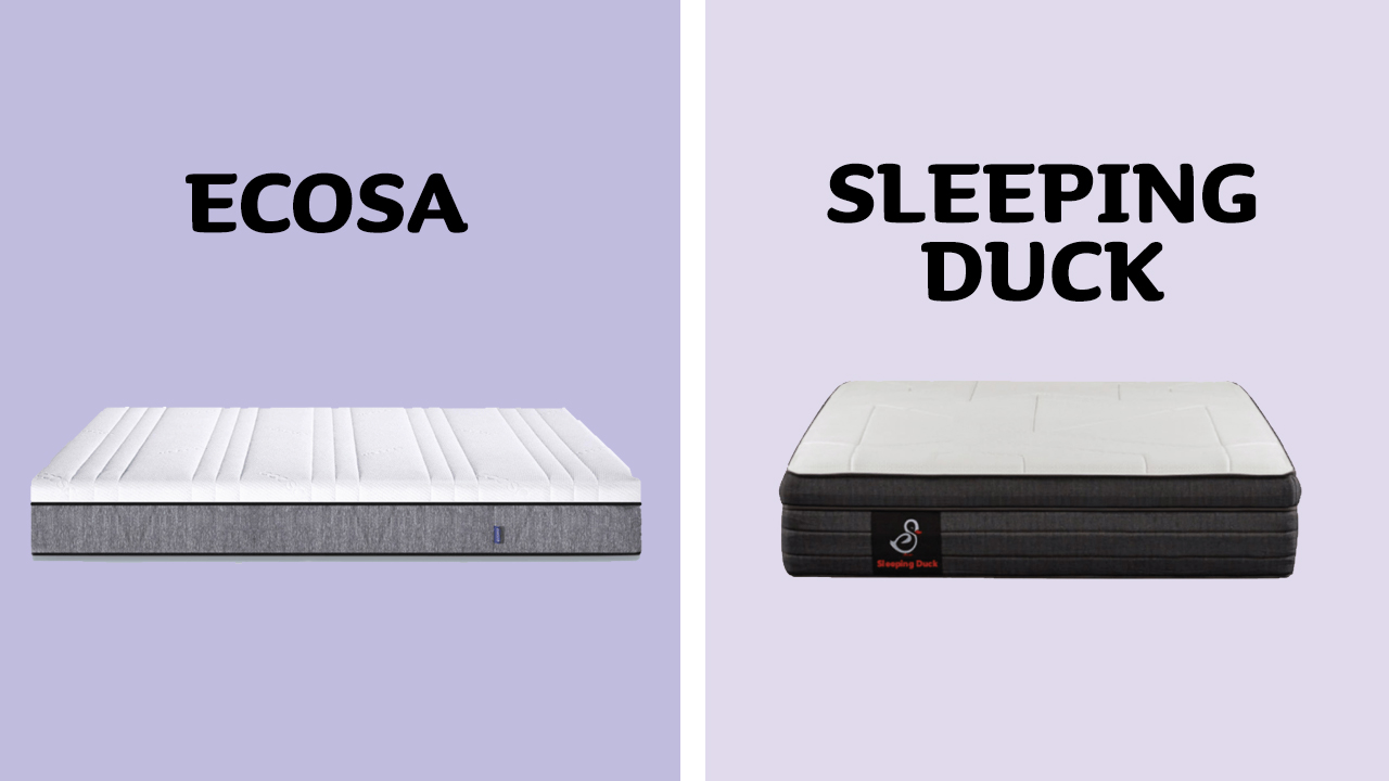 Sleeping Duck Vs Ecosa Mattress Comparison (2022)