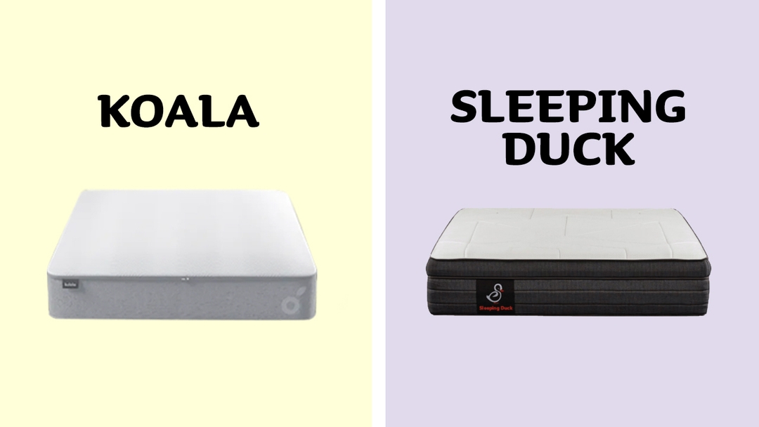 Koala (new) Vs Sleeping Duck 2023 Comparison, Who wins?
