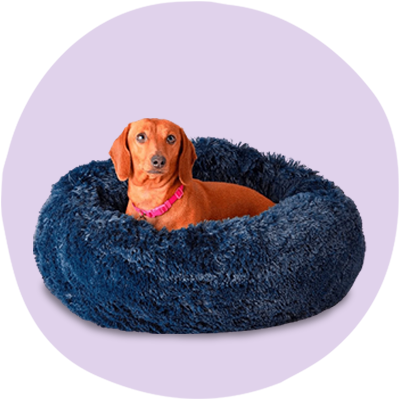 Calming dog bed