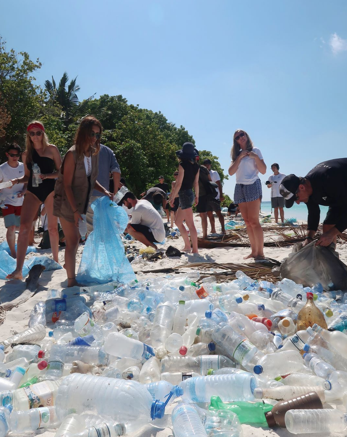 people handling plastic bottles waste on a beach