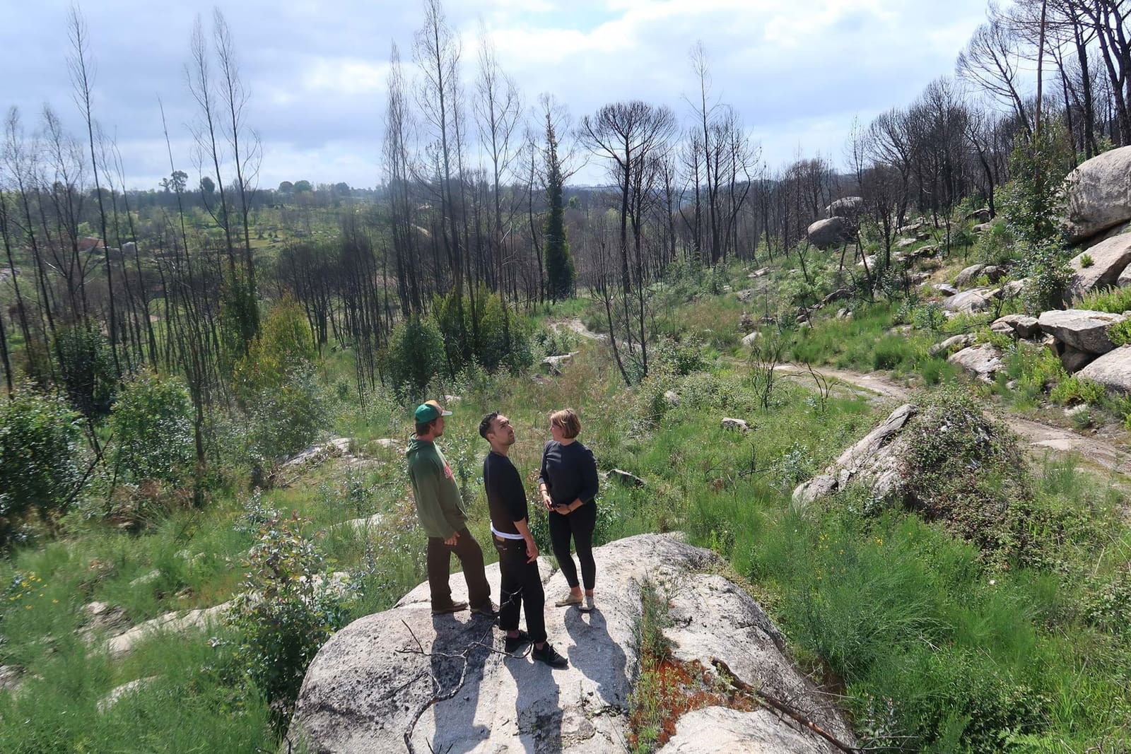 How to buy land (in Portugal)