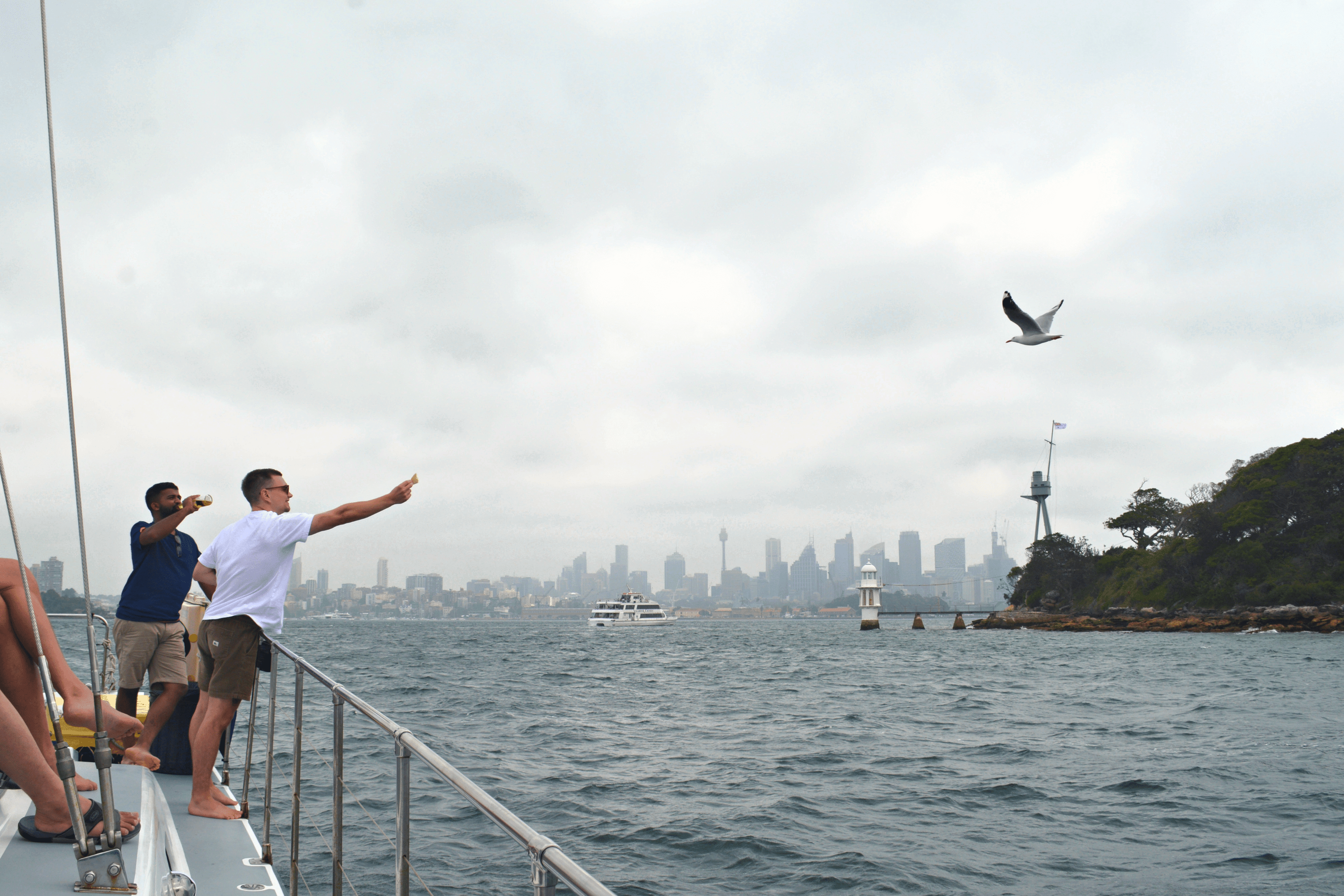 A man trying to feed a seagull at the edge of a boat