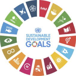 Sustainable Development Goals Award