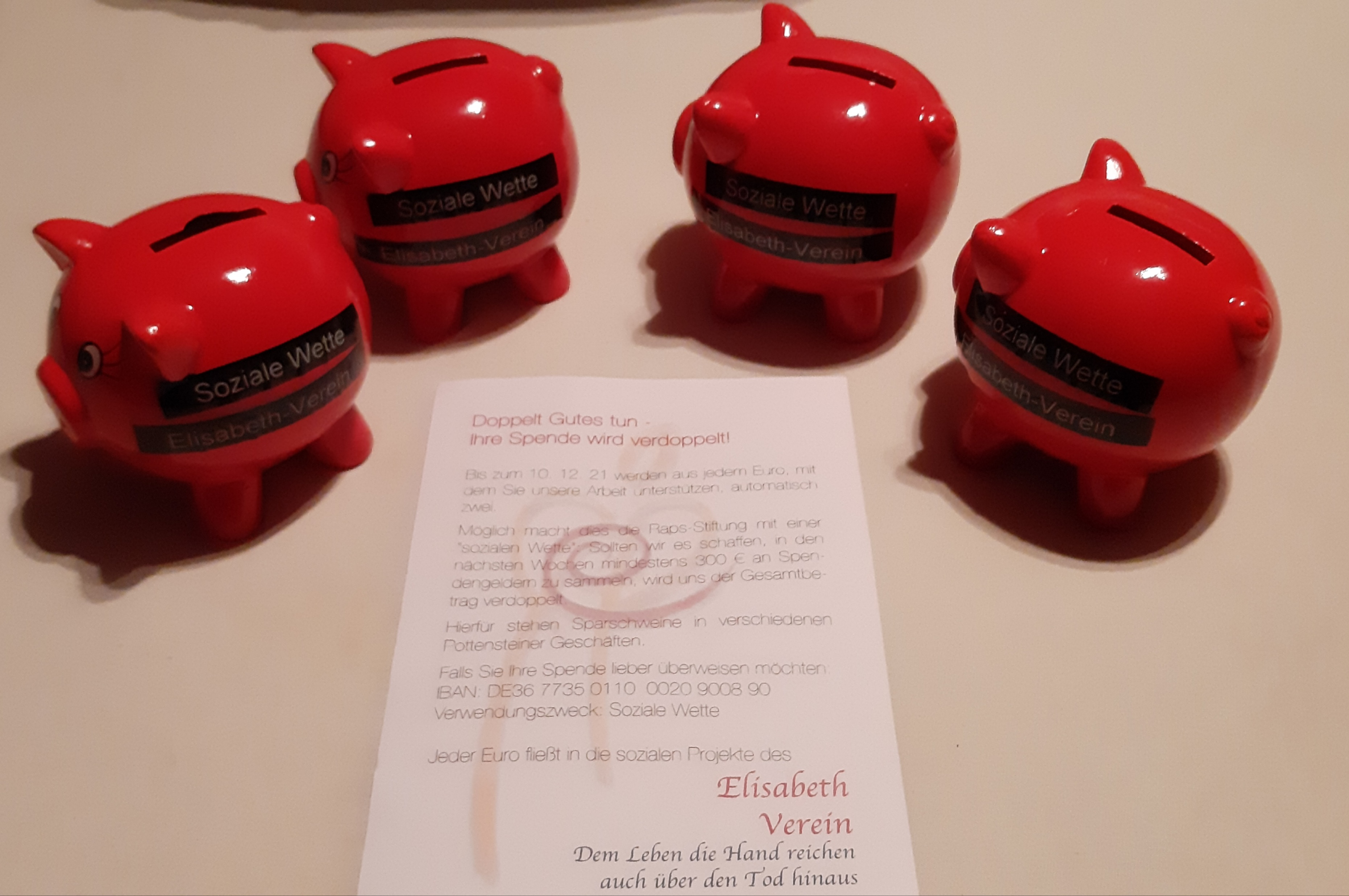 Innovationspreisträger: Elisabeth-Verein Pottenstein e.V.: Sparschweine für den Elisabeth-Verein